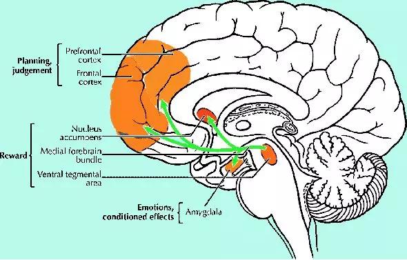 任达华被捅精神病暴力行为如何应对