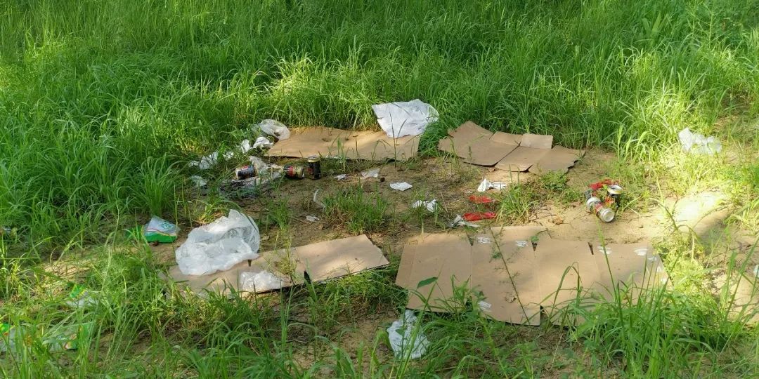 野外小树林一顿小烧烤完事能不能把垃圾带走