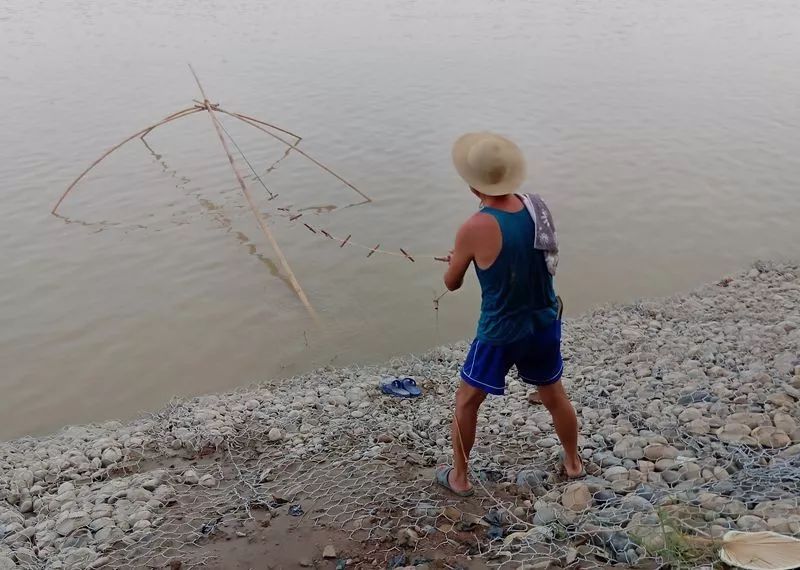 夏天涨水是搬罾捕鱼的好时候,耗子哥小时候经常看见嘉陵江边搬罾捕鱼