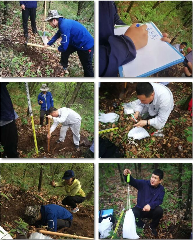 【土壤检测】土壤检测标准取样方式,越标准结果越准确.
