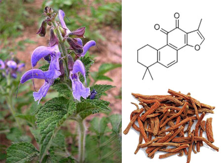 丹参提取物丹参酮Ⅱaⅱa是什么功效作用大揭秘