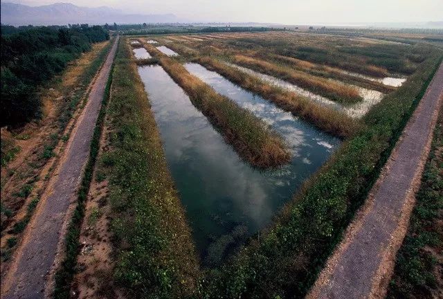 昔阳首个占地15万平方米的潜流人工湿地在建四季可赏太厉害