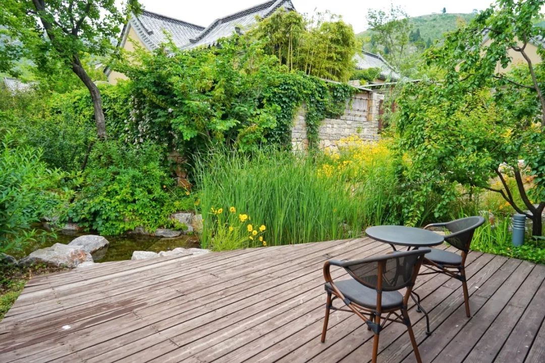 曲阜藏着儒学源头的云梦莲花坞