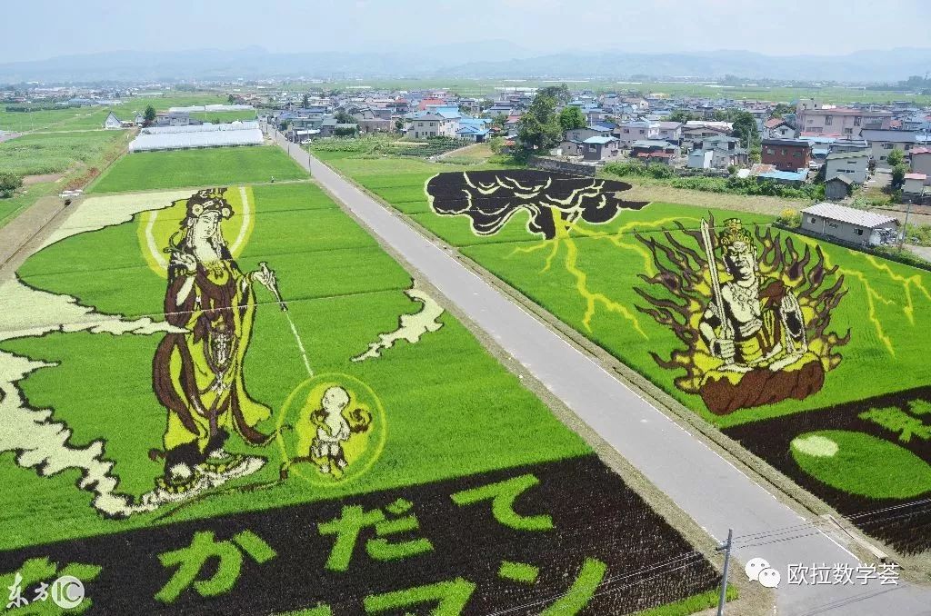 绝美的"稻田画",来自农民兄弟的艺术想象力