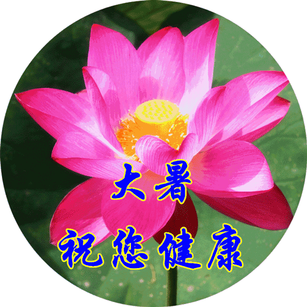 大暑到了,一曲《荷塘月色》送给你,太好听了!注意降温防暑!