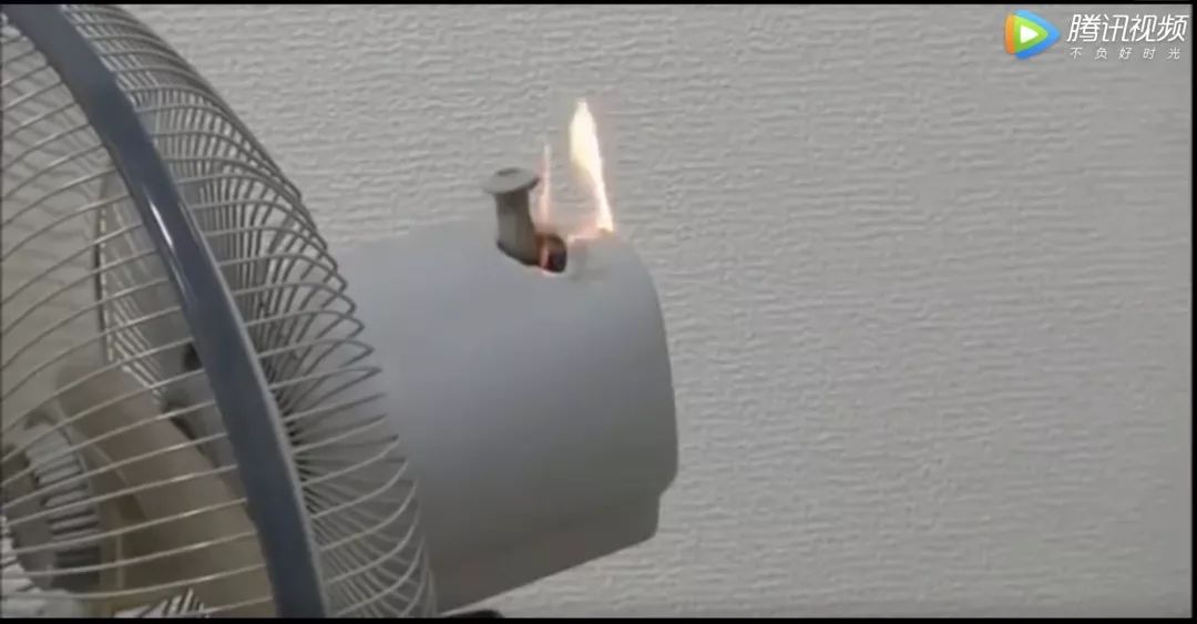 宠物店突发火灾,40多只小动物无一生还,罪魁祸首竟然是它!_电风扇