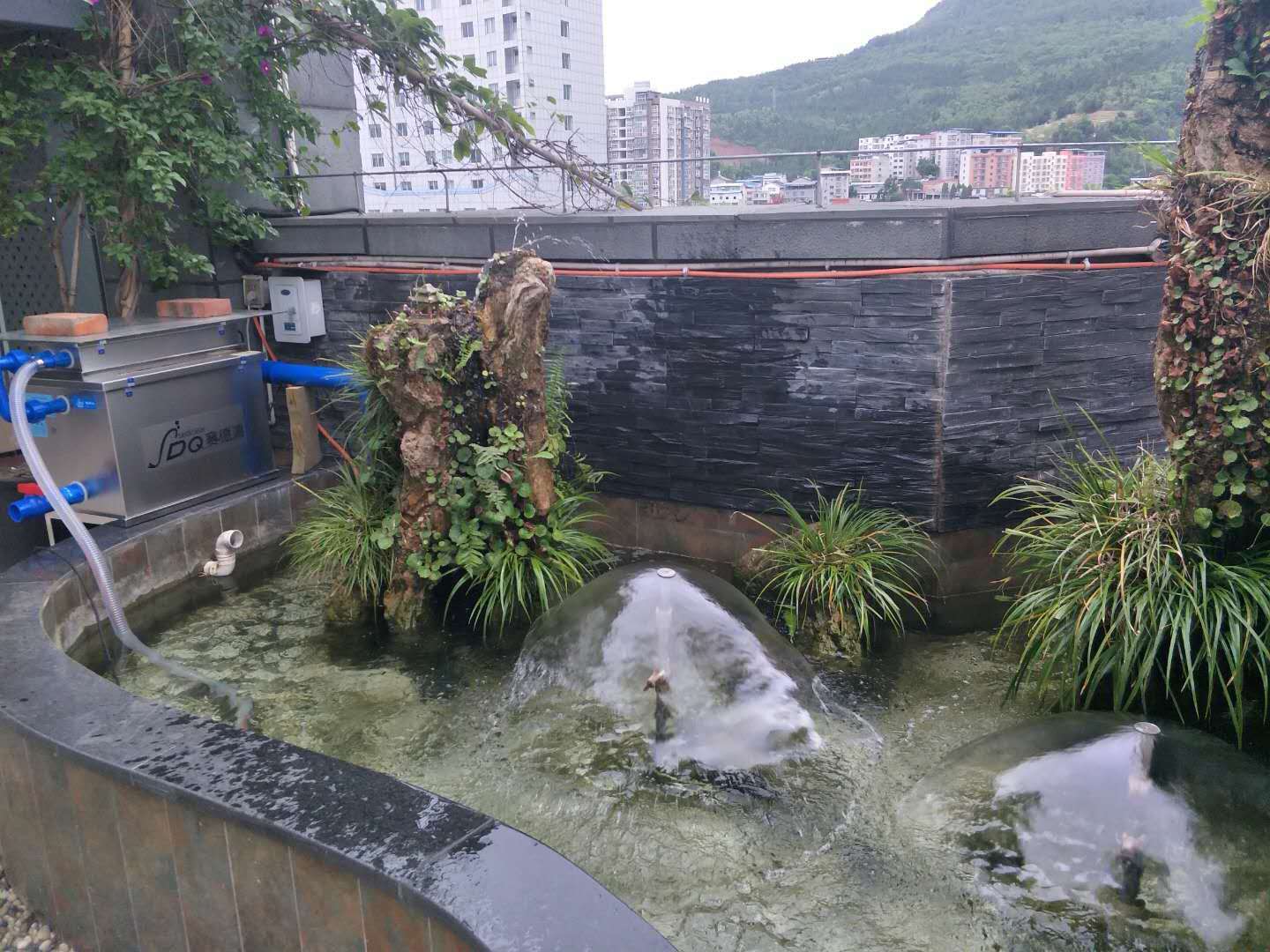 想要鱼活力十足新池建好以后不要着急放鱼需要先做到这些