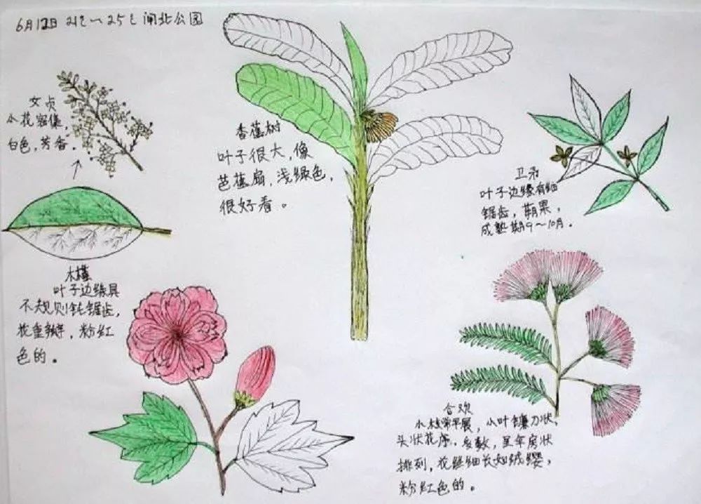 2天1夜小小知青下乡游记遇见大自然夏令营构筑梦想家