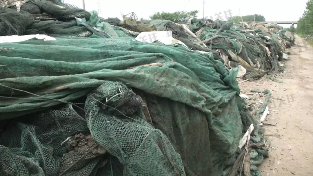 顶风作案大量渔网垃圾堆积高邮湖破坏生态环境