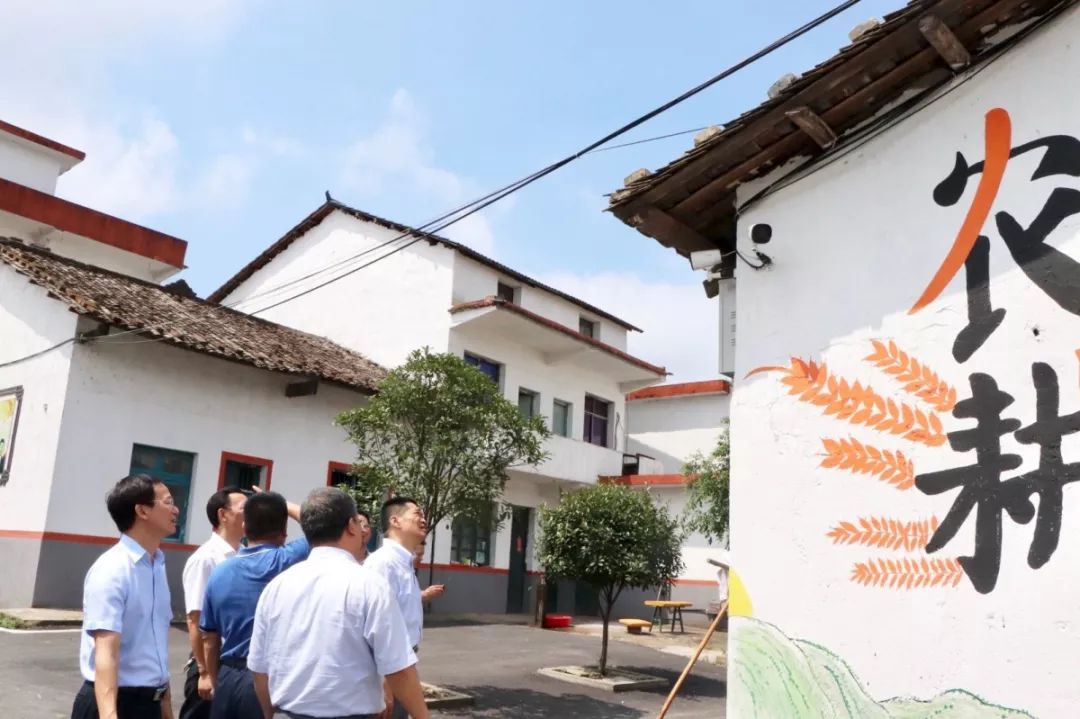 省住建厅党组书记吴昌平一行深入我镇调研_环境