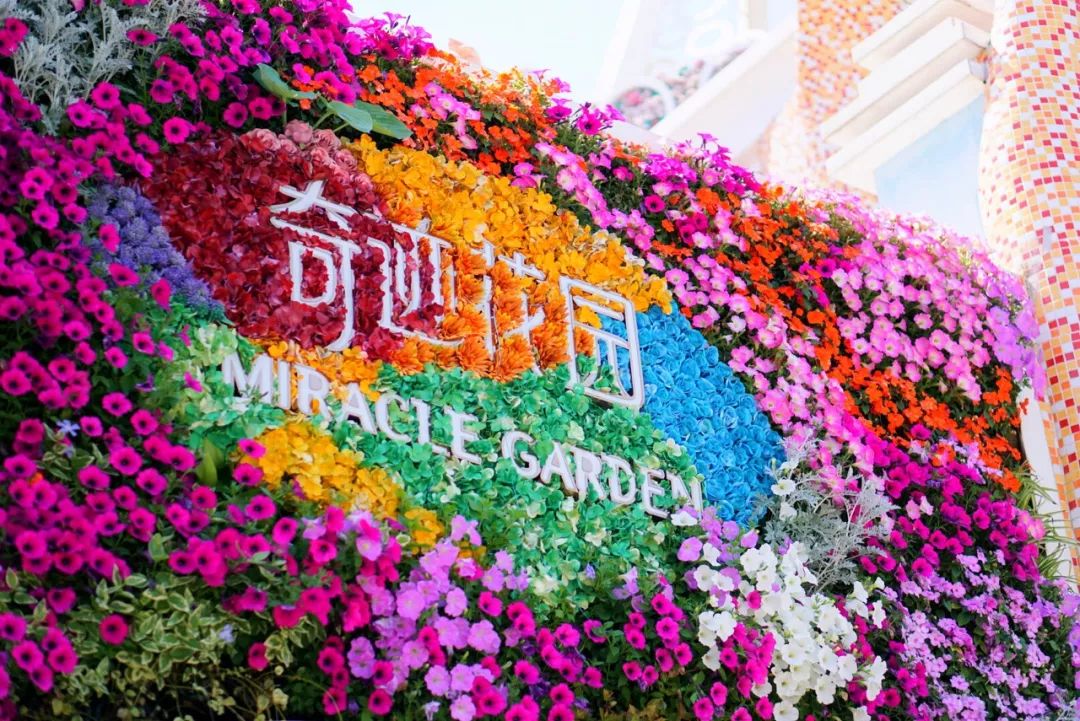 这里一共有51566大区:奇迹花园区,活力森林区,柳鹭田园区,森林