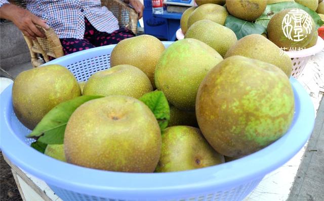 免费玩翠冠梨采摘鸡汤馄饨童趣手工一起相约夏日树山