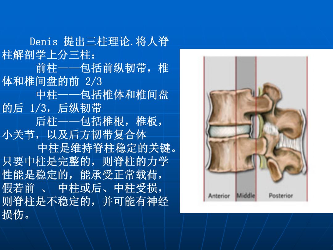 进阶必读 脊柱骨折与脊髓损伤概述_中柱