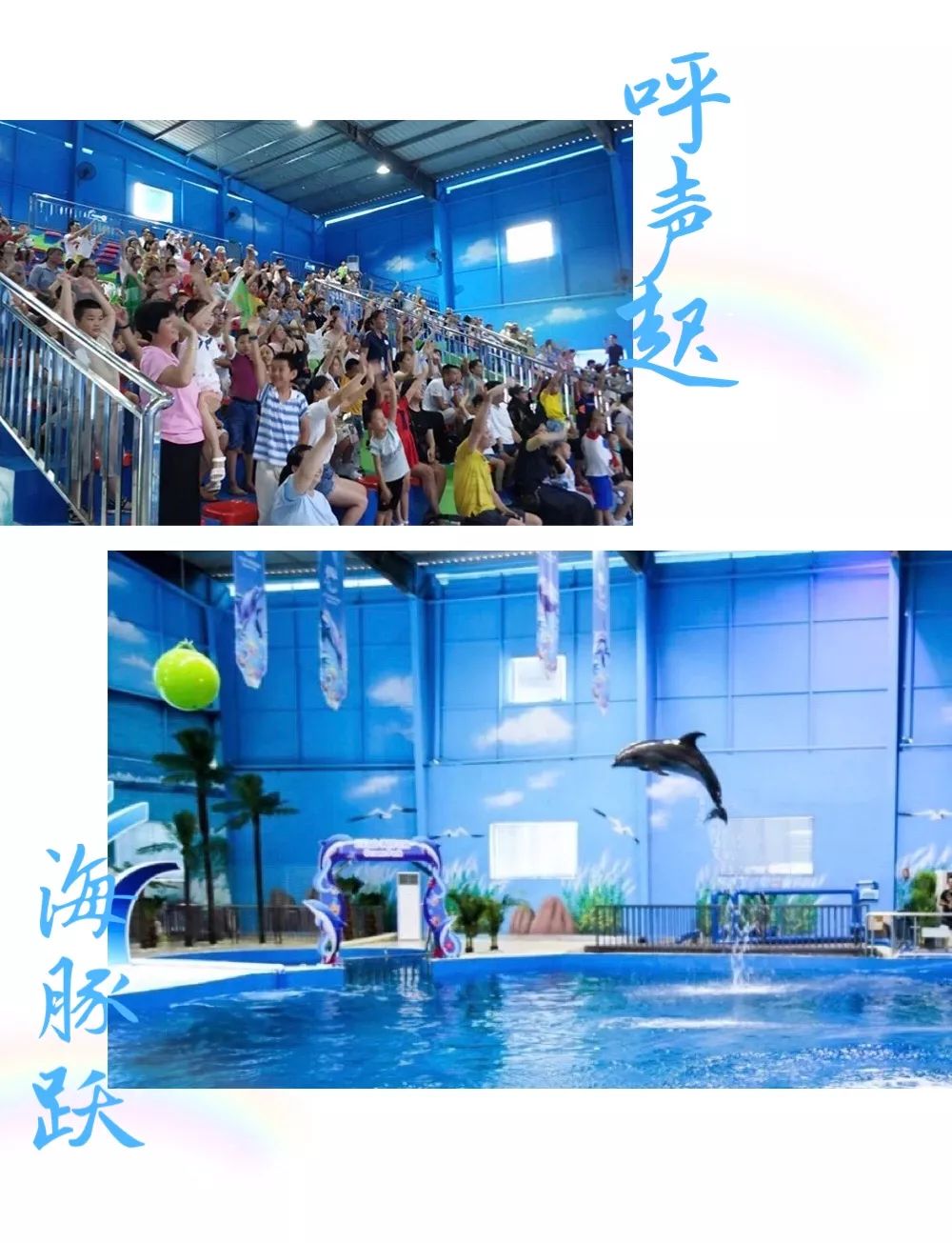 如果您到乳源云门山只玩水上玻璃桥那就浪费啦快来与海豚海狮0距离