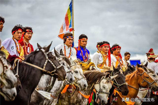 草原盛会若尔盖安多赛马节草原上的速度与激情