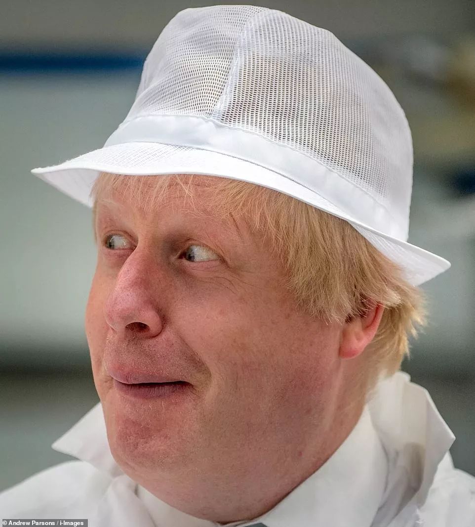 约翰逊也被称为"britains trump英国的特朗普".