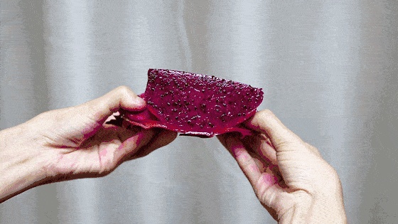 关于火龙果,你不知道的秘密