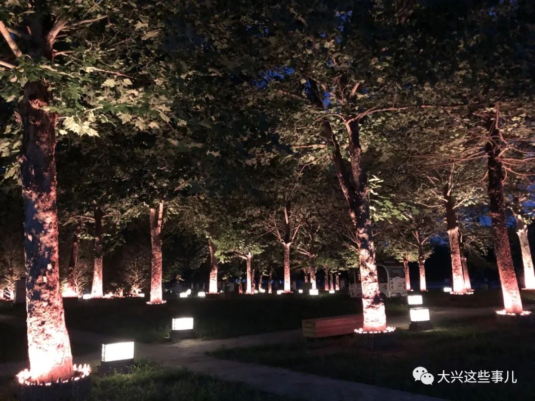 大兴免费的鬼屋公园这片小树林有点儿意思