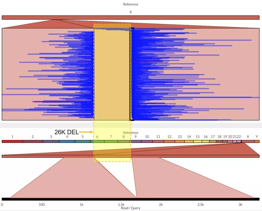 大片段deletion示意图