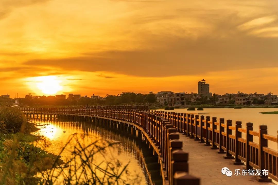 乐东镜湖湿地公园图片