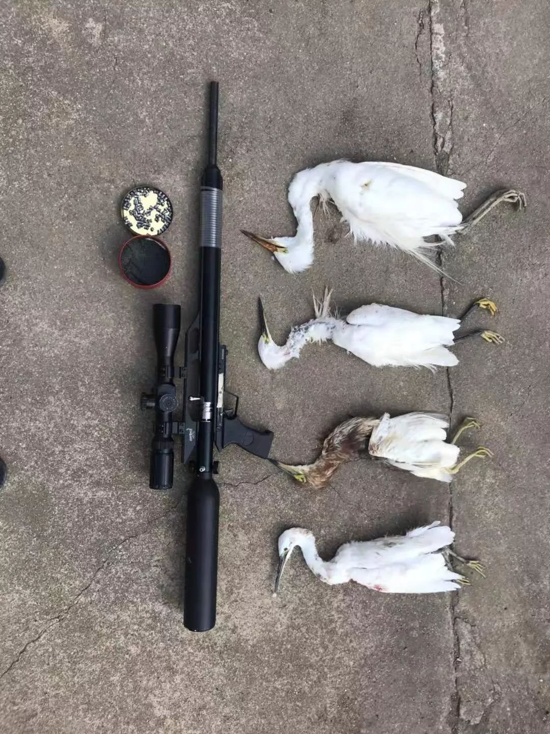 可恶非法持枪狩猎天门三男子被刑拘