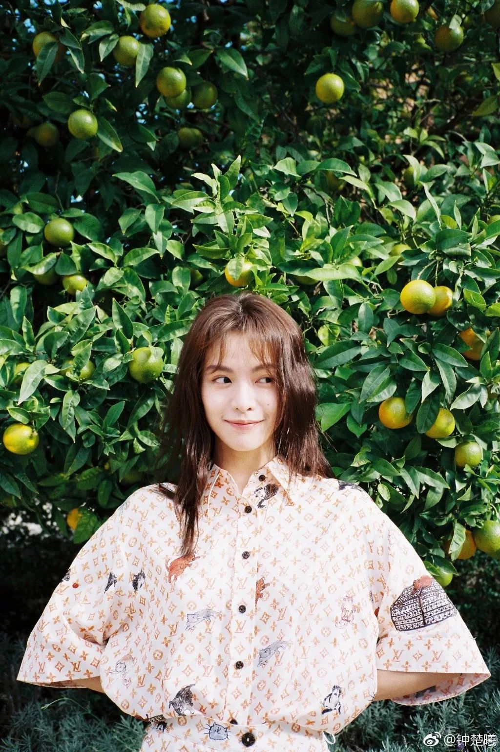 亲切感也多了起来