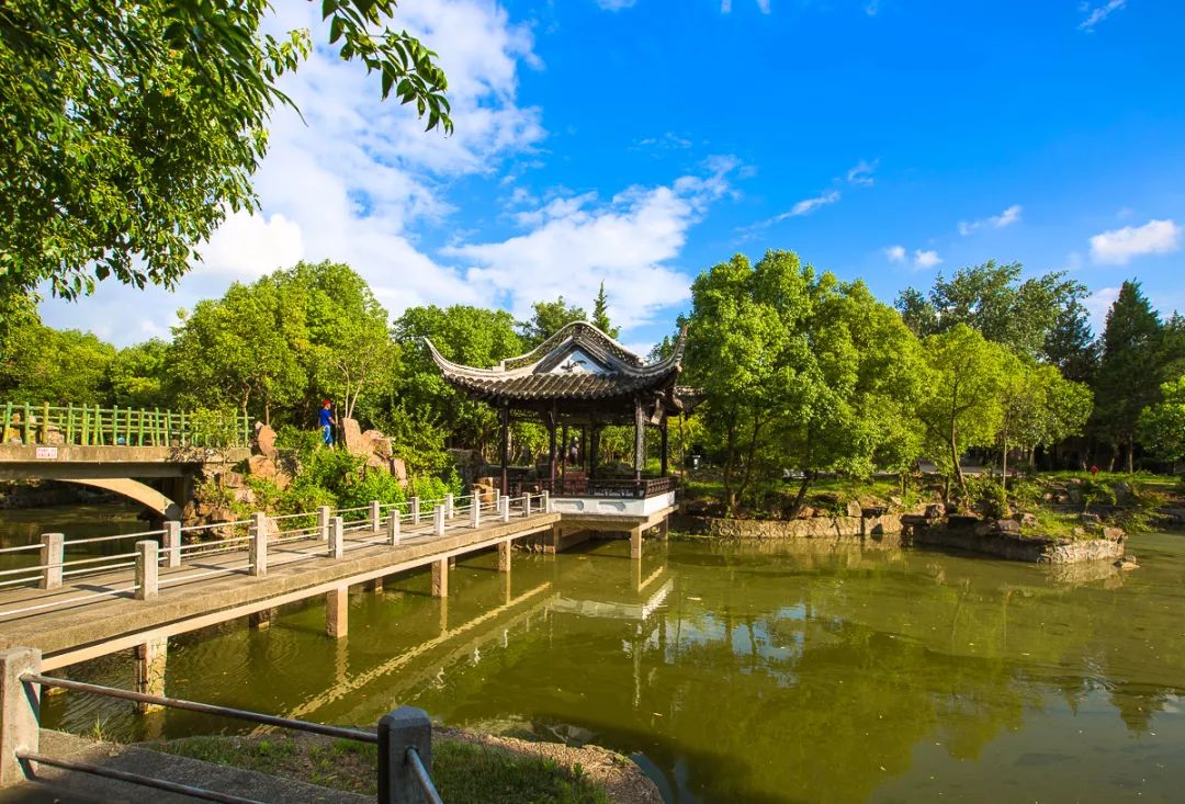 酷暑盛夏白沙公园美景如画