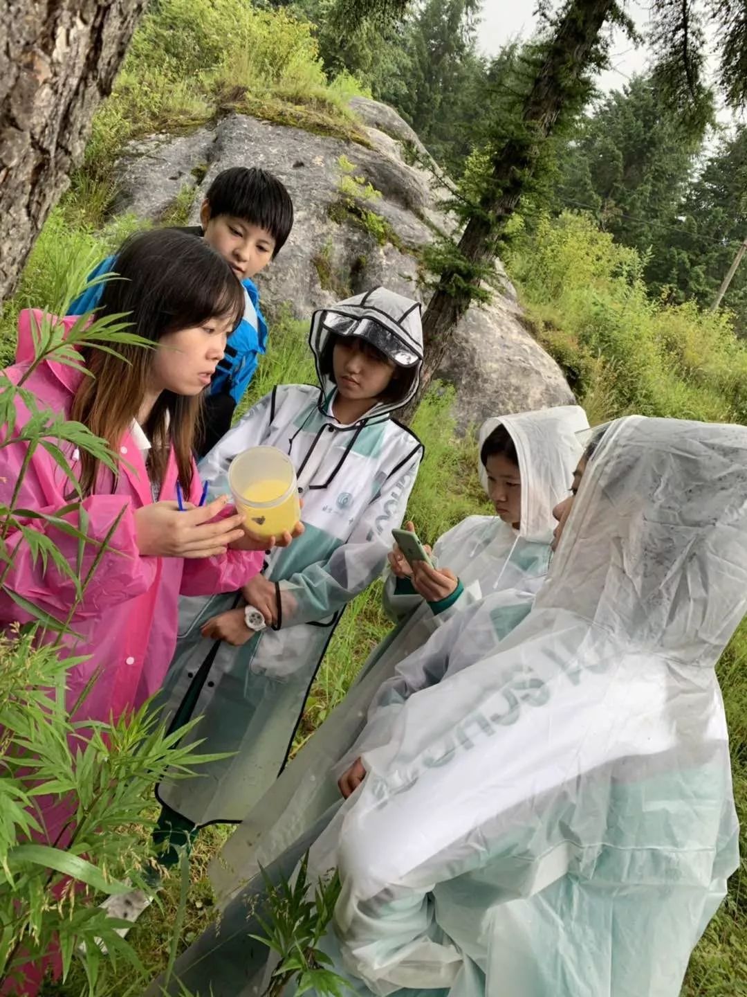 暑期科考神秘秦岭进山下水科研范儿