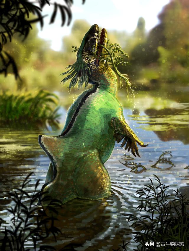 图注:昆卡猎龙的前肢长有羽毛,图片来自网络白垩纪的西班牙杀手昆卡猎