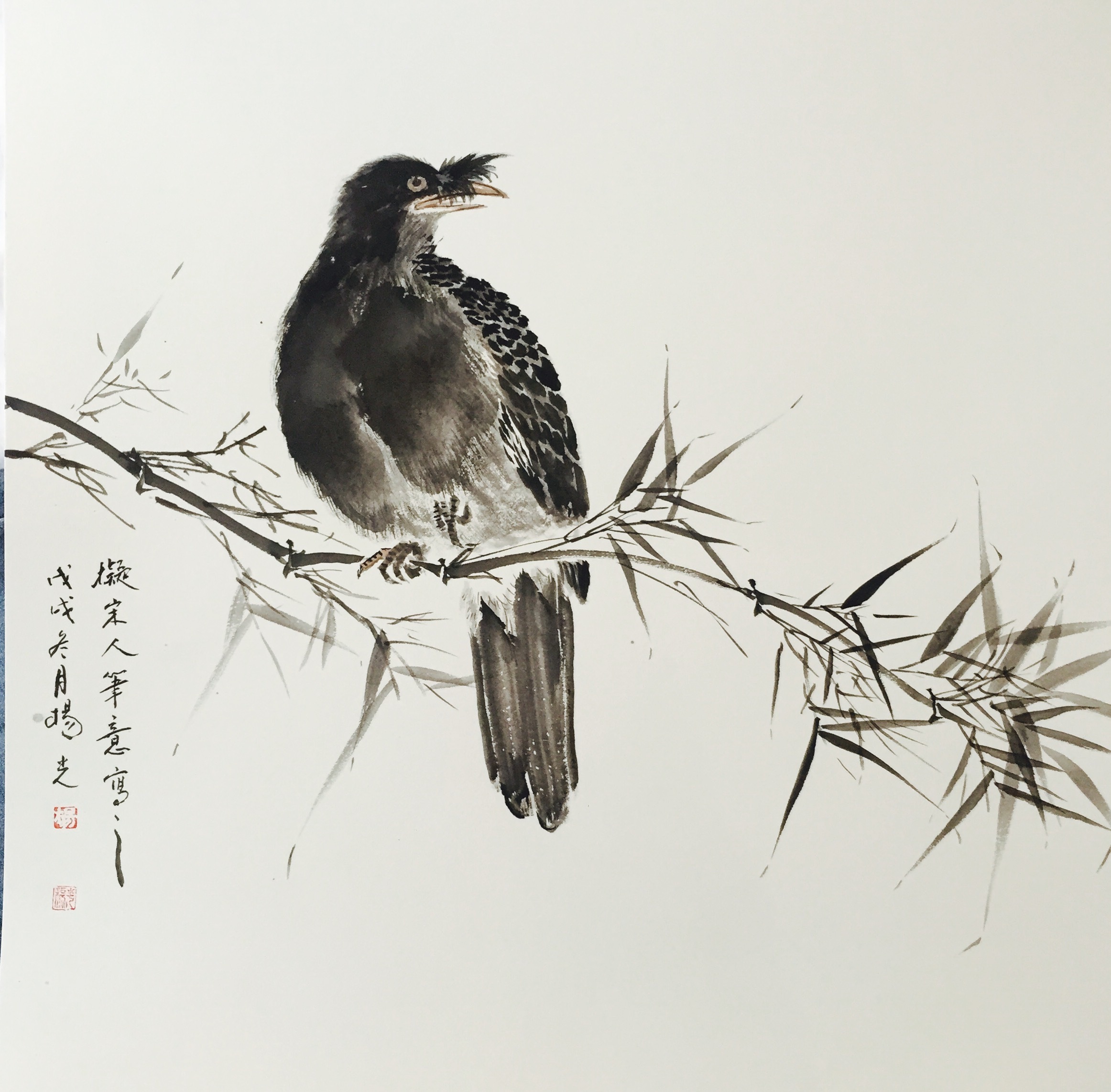 画家杨光