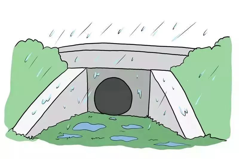 您有一份防暴雨安全指南请查收