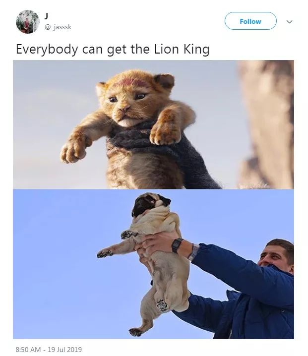 看完《狮子王》,铲屎官终于对自家狗狗下手了