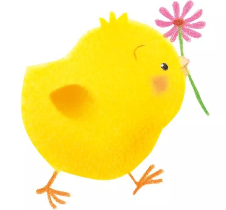 日本人气大萌主小鸡球球全国主题展来武汉啦