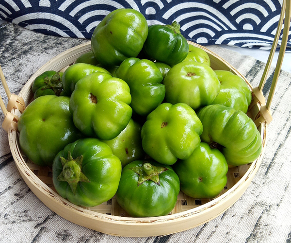 食材分享很多人都不喜欢的苦子果云南人却非常喜欢吃尝过吗