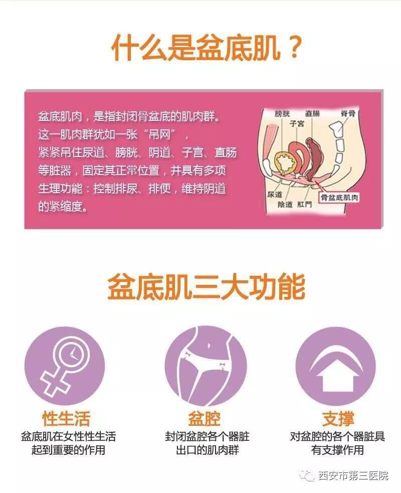 盆底功能康复治疗关爱女性盆底健康远离女性社交癌