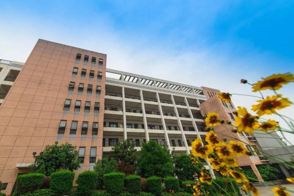 长沙市雅礼雨花中学2019年初一新生信息查询及信息采集通知