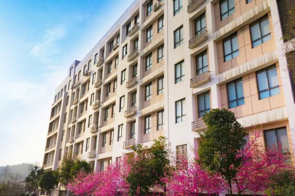 长沙市雅礼雨花中学2019年初一新生信息查询及信息采集通知