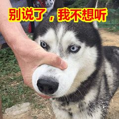 直逼40杭州气温一路飙升史上最热夏天来了