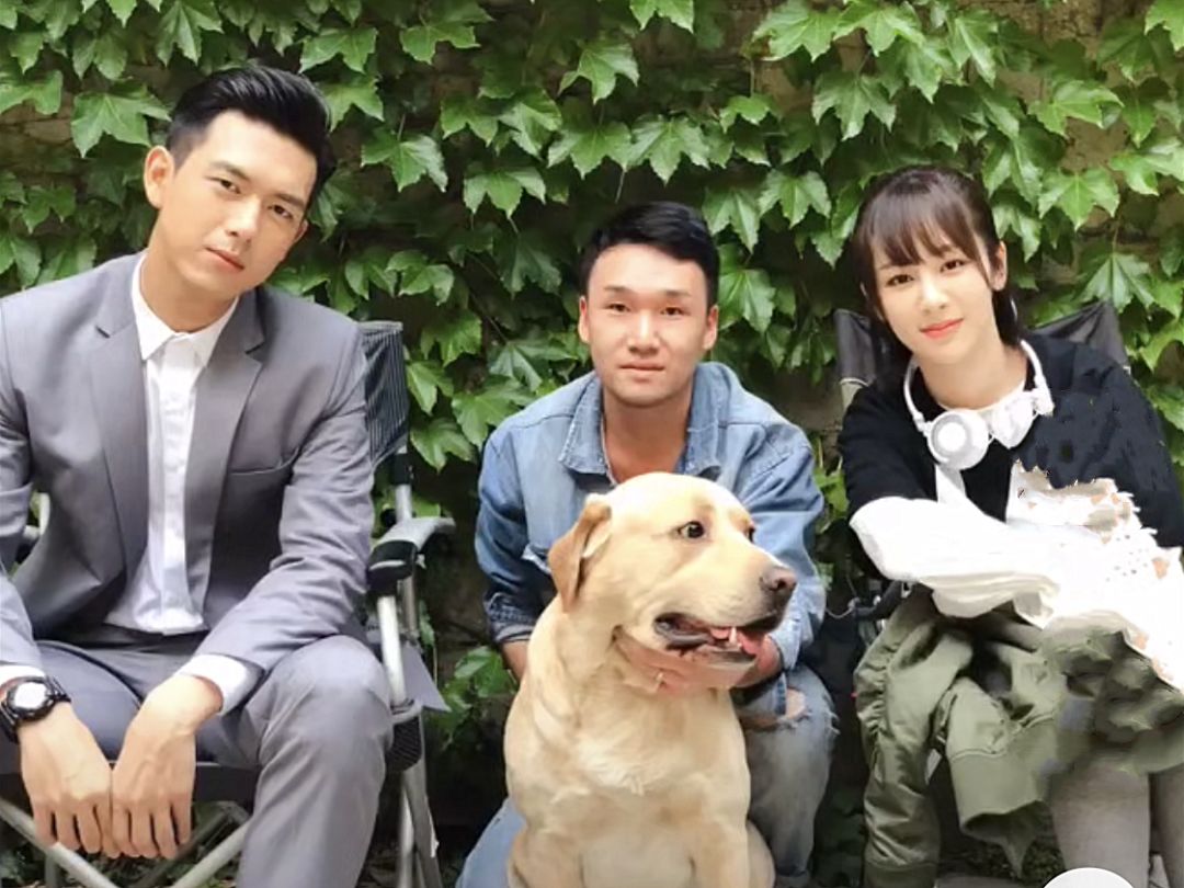 佟年送韩商言的猫火了,现已长大颜色也变深,每天都有剧迷去合影