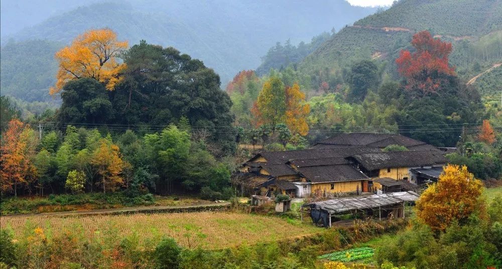 浙闽赣公开水域游泳邀请赛比赛报到地点设于竹口镇岩溪村.