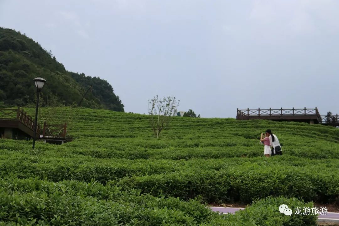 酷龙游第一座运动小镇篮球足球网球场还有高空拓展星空帐篷
