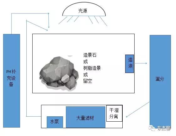 海缸新手宝典:柏林系统的演变发展