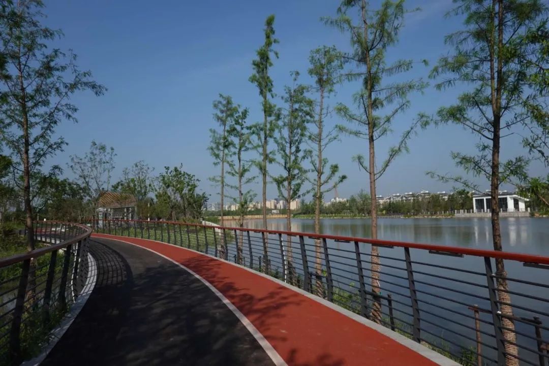青浦环城水系公园三期图片