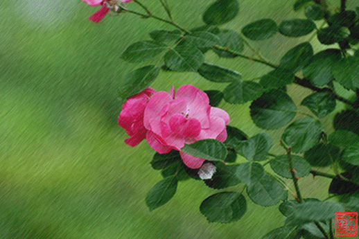 若思念无处安放