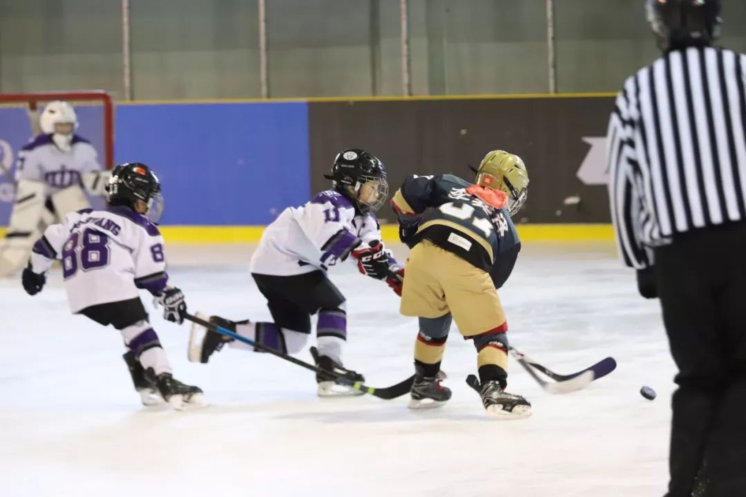 捷報67重慶hockey王子冰球隊11隊榮獲齊齊哈爾2019夏季冰球季國際