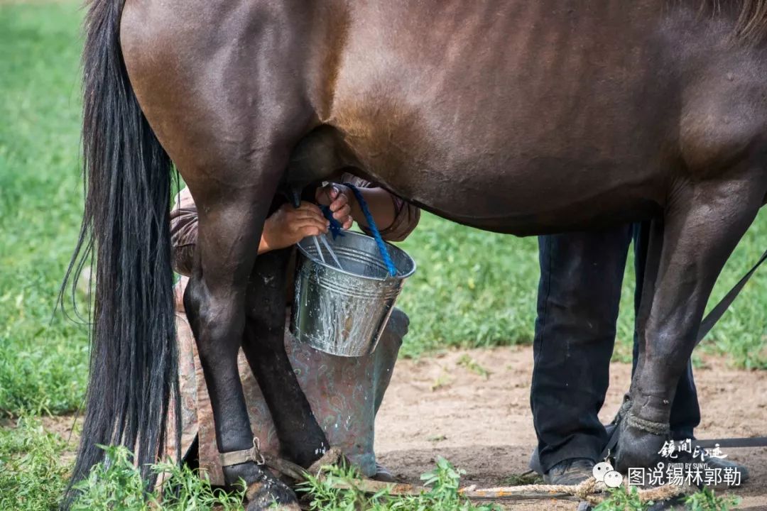 一位外地摄影家眼中的牧区生活
