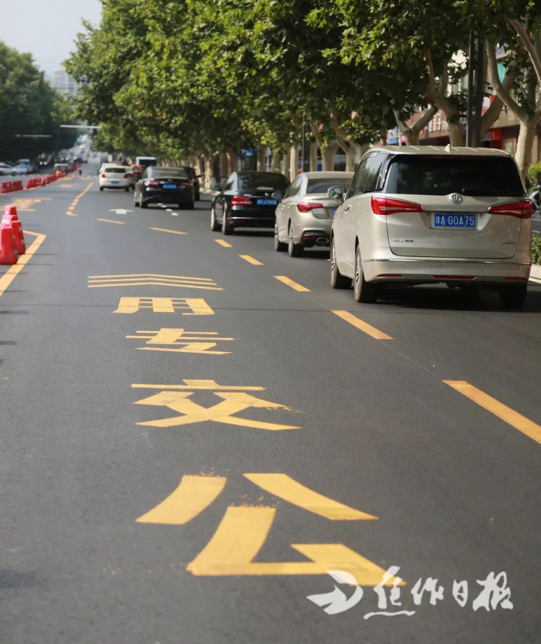 焦作这条路新设公交专用道!还要装监控!_车道