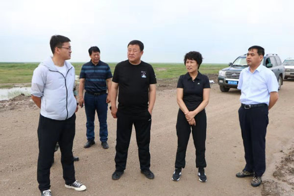 刘淑芬检查指导防汛工作