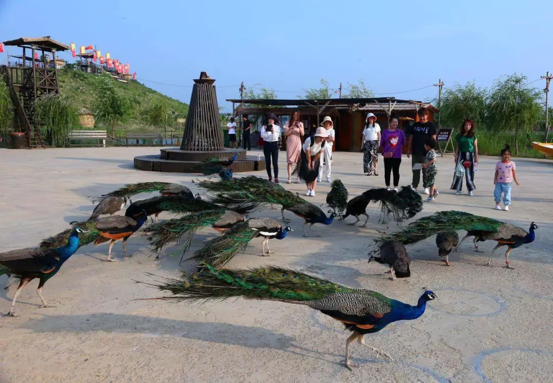 半价游北旅田园水世界天天国际泼水狂欢节欢乐来袭