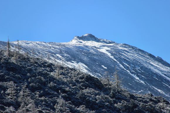 稻城亚丁拉木格村地处俄初山半山腰为红叶彩林最佳观赏地